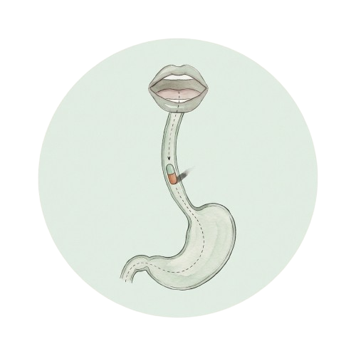 Gut probiotics never reach your mouth.